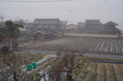まだまだ降り続く