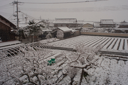 やっぱり降りました
