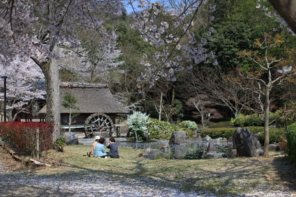 姦　＜桜（妹背の里編）(番外)...