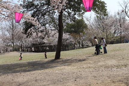 桜（妹背の里編）(番外)＜ヤン...