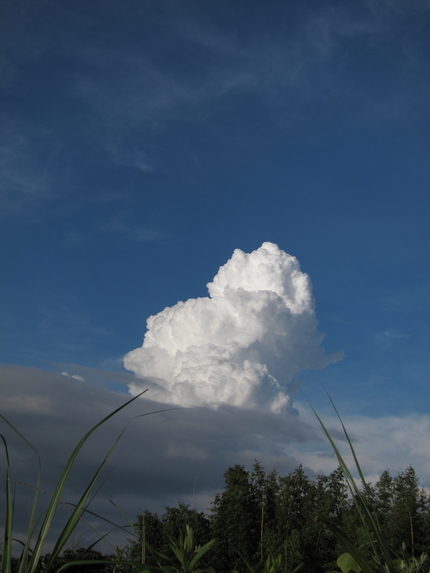 梅雨明けカウントダウン？(2)