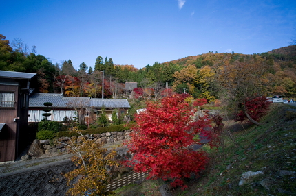 湖北の紅葉(3)