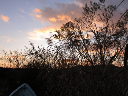 久し振りの夕焼け(3)