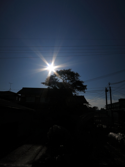 久し振りに天気の良い正月