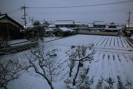 今日の朝＜やっぱり積もった＞