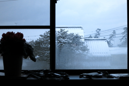 昨日の朝