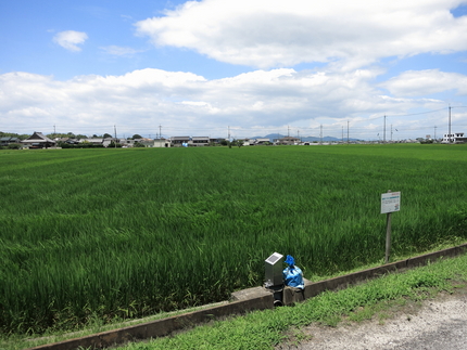 このまま自然災害がないことを祈...