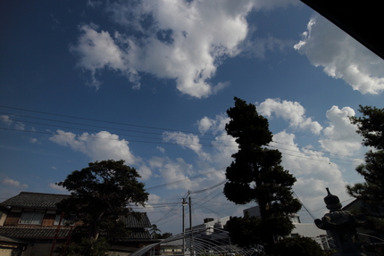 ニュー・レンズ(2)