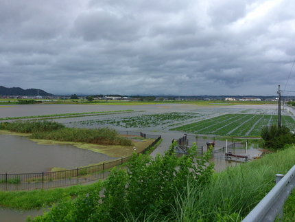 集落周辺の田んぼが冠水しました...
