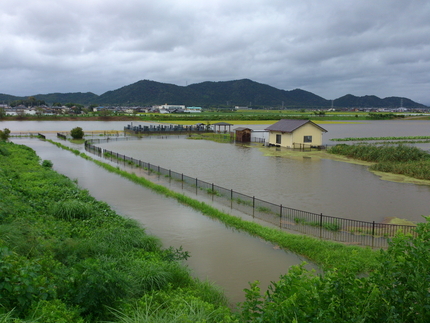 灌漑用循環池の傍にある建物はポ...