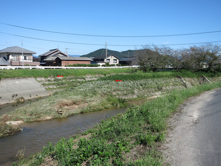 我が家の近くの天井川である祖父...
