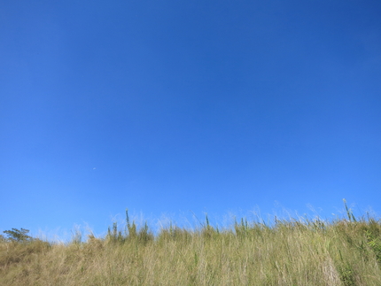 爽やかな秋の空