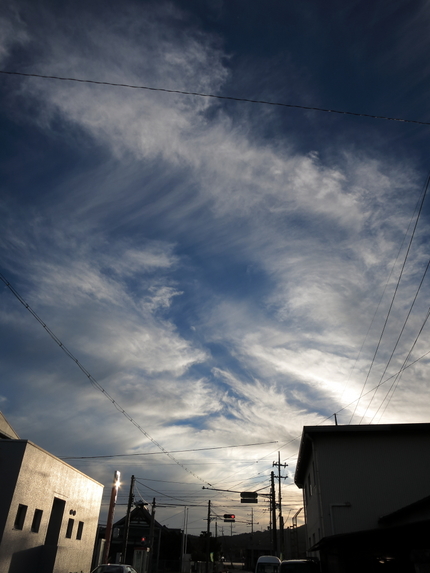 今日は朝からどんよりして一段と...