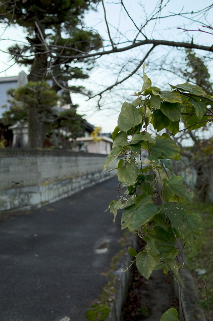 街角スナップ