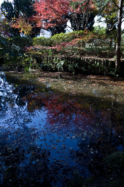 静寂の水面