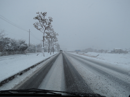 昨日のことですが、こういう雪の...