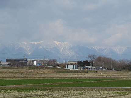 今日の日中はまた少し暖が戻って...