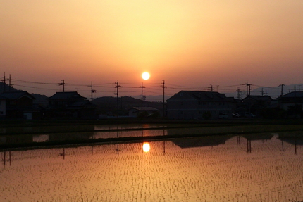 【撮影データ】 SonyEri...