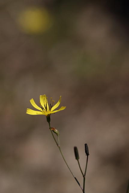 【撮影データ】 Canon E...