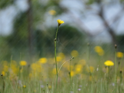 【撮影データ】 Canon P...