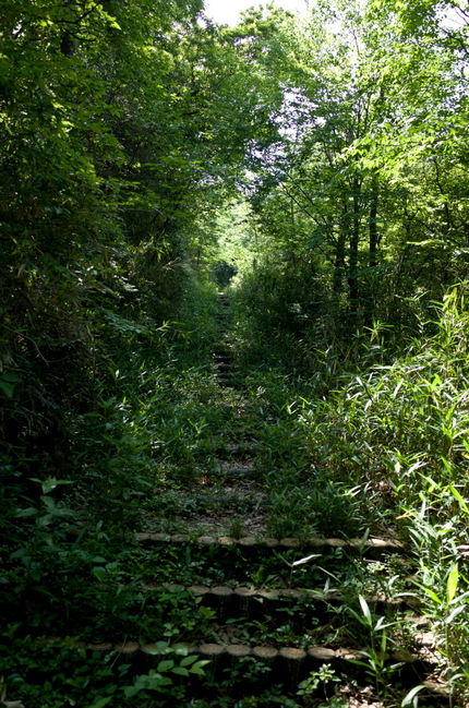 整備されると立派な山道となるこ...