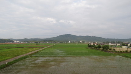 西の山。登山コースはこちらの方...