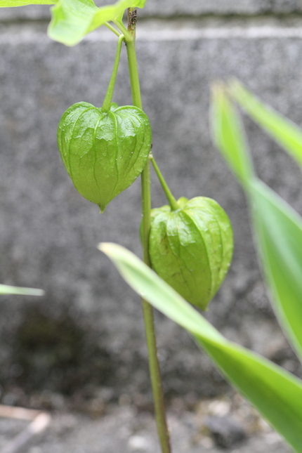 【撮影データ】 Canon E...