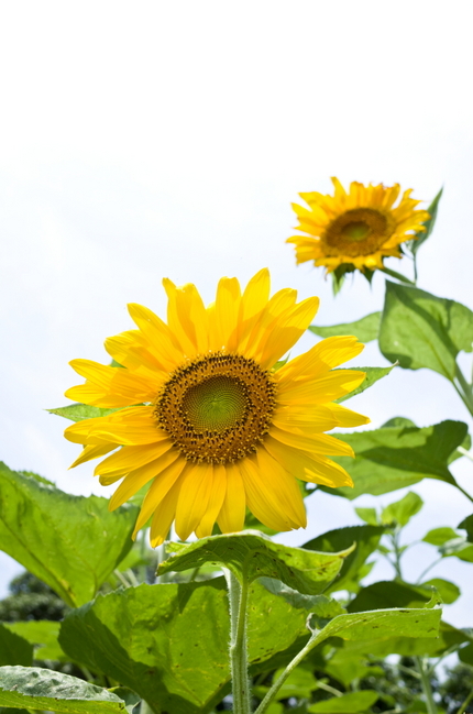 【撮影データ】 RICOH G...