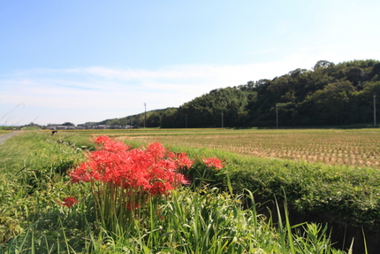 【撮影データ】 Canon E...