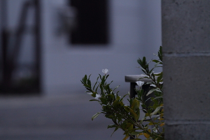 【撮影データ】 Canon E...