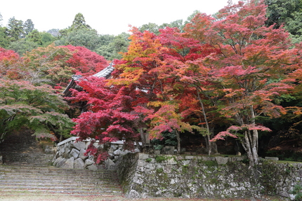 【撮影データ】 Canon E...