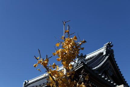 【撮影データ】 Canon E...