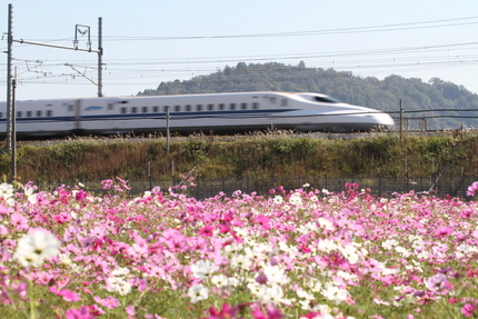 【撮影データ】 Canon E...