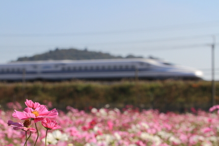 【撮影データ】 Canon E...