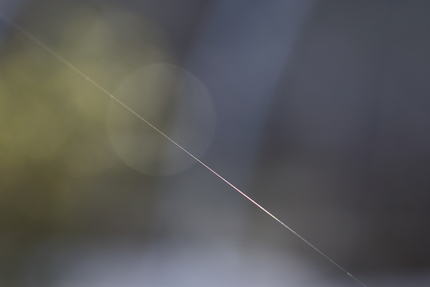 【撮影データ】 Canon E...