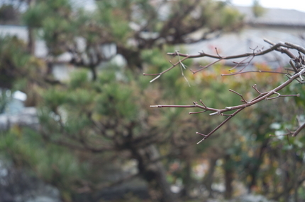 背景にその特徴が現れるんですが...