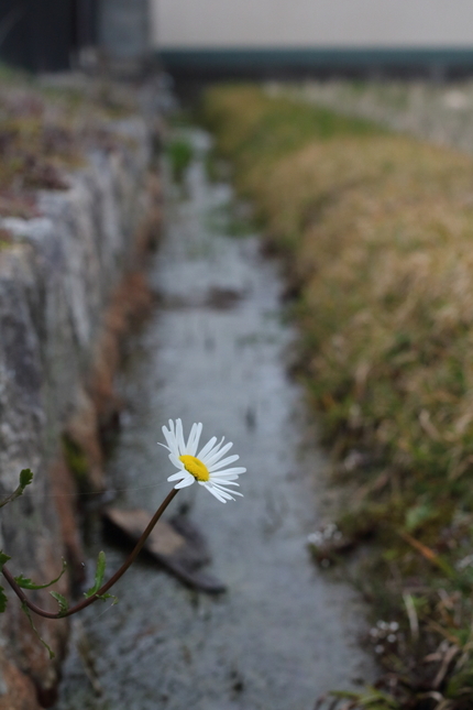 【撮影データ】 Canon E...