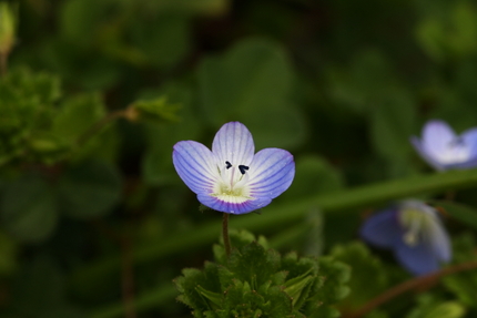 【撮影データ】 Canon E...