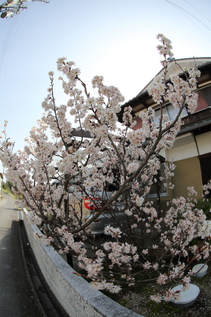 【撮影データ】 Canon E...