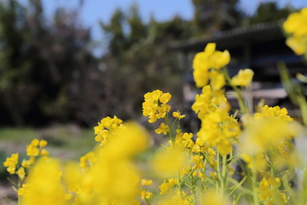 【撮影データ】 Canon E...