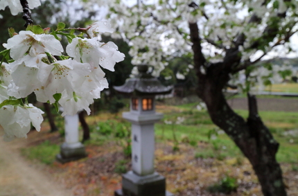 【撮影データ】 Canon E...