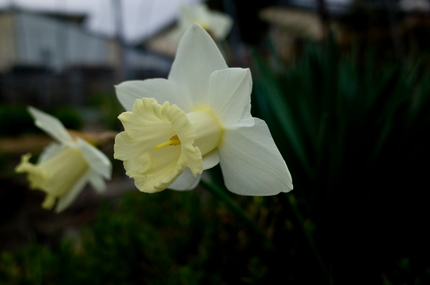 【撮影データ】 RICOH G...