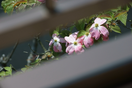 【撮影データ】 Sony IL...