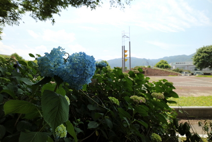 【撮影データ】 Canon E...