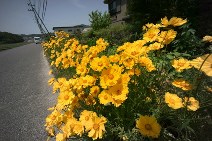 【撮影データ】 Sony IL...