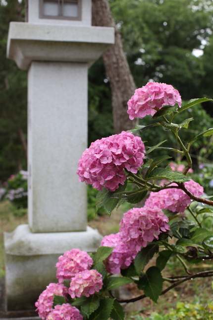 【撮影データ】 Canon E...