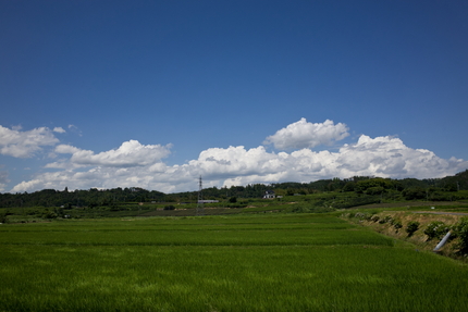 【撮影データ】 RICOH G...