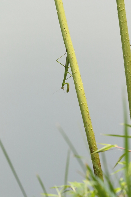 【撮影データ】 Canon E...