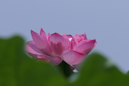 【撮影データ】 Canon E...