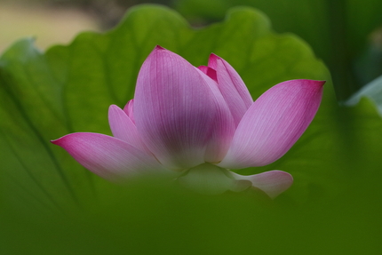 【撮影データ】 Canon E...